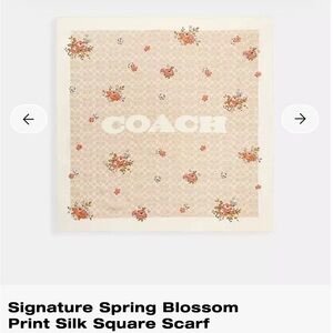 COACH Signature Spring Blossom Silk Square Scarf Sand/Pink